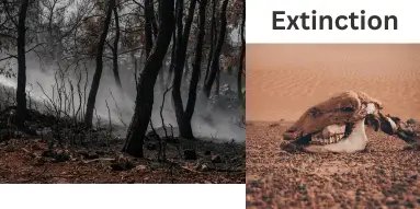 Burnt forest with smoke rising on the left, and an animal skull lying on cracked desert ground on the right, with the word “Extinction” above, symbolizing environmental destruction and loss of life.