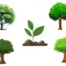 Illustration of five green trees and a small plant sprout in the center on a white background.