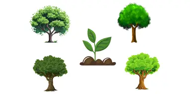 Illustration of five green trees and a small plant sprout in the center on a white background.