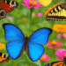 Colorful butterflies of various species flying and perched on vibrant zinnia flowers in a lush green garden during spring.