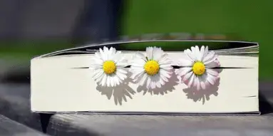 The Art of Slow Reading — a side view of a closed book with three white daisies between its pages, casting shadows in sunlight.