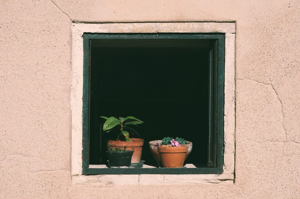 An old square window set in a textured beige wall, framing three small potted plants on its ledge—green leaves reaching toward soft sunlight, surrounded by deep shadow inside the room